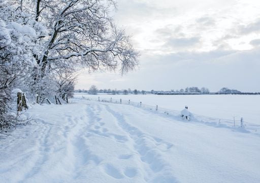 Амралтын өдрүүдэд цас орж, ихэнх нутгаар хүйтэрнэ